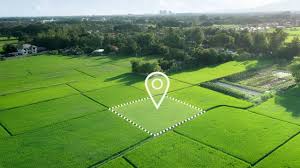 Ortaklığın Giderilmesi Davaları